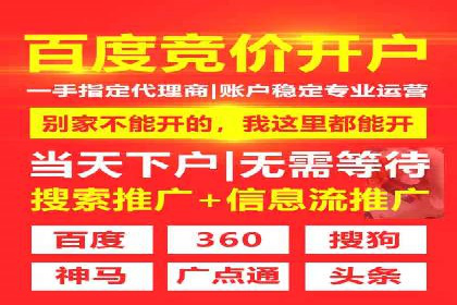 SEM托管代运营案例：优化广告投放策略
