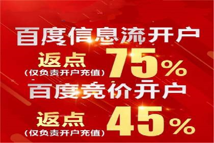 某企业SEM广告投放的转化率提升秘诀